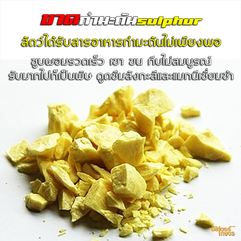 มินเนอร์99 "Minner99" แร่ธาตุจำเป็นสำหรับสัตว์